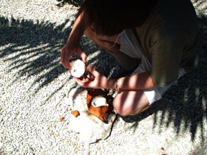 Jeremy cracking a coconut