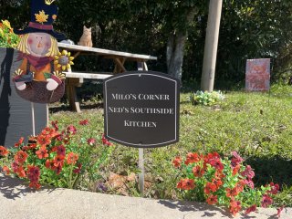 A sunny corner with grass and flowers, with a picnic table upon which a plastic orange cat is perched. The sign on the grass reads 